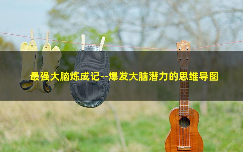 最强大脑炼成记--爆发大脑潜力的思维导图(10讲史俊恒)(高清视频)