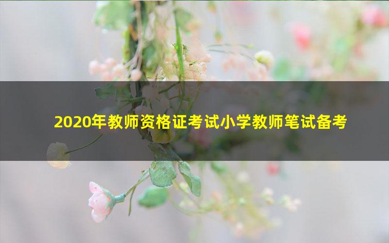 2020年教师资格证考试小学教师笔试备考资料(高清视频)