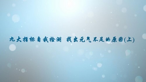 荔枝微课11节气血双补养颜课,让你气血好美到老(2.61G超清视频)