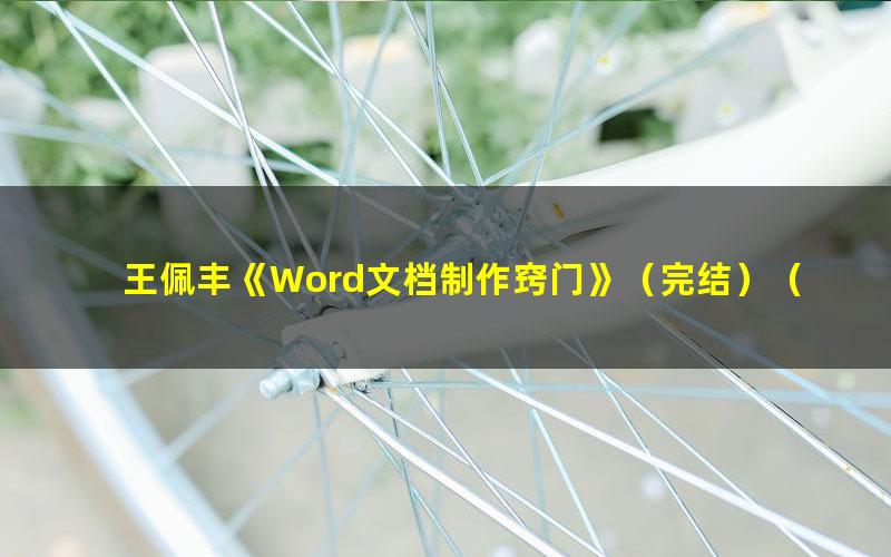 王佩丰《Word文档制作窍门》(完结)(高清视频)