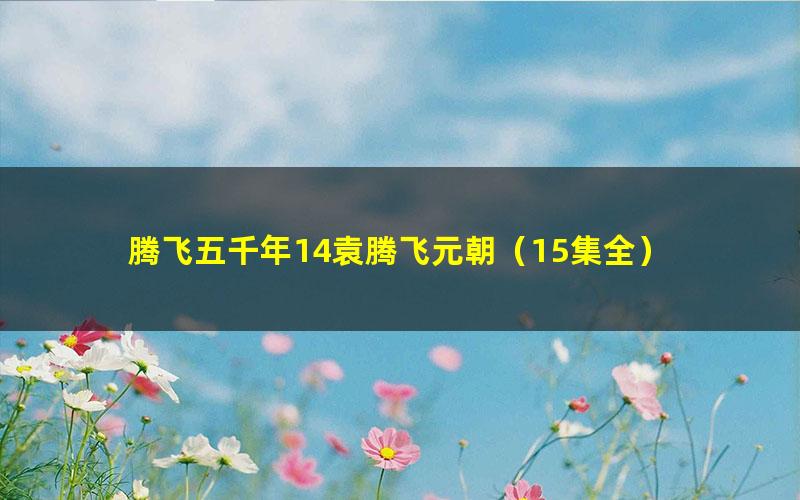 腾飞五千年14袁腾飞元朝(15集全)