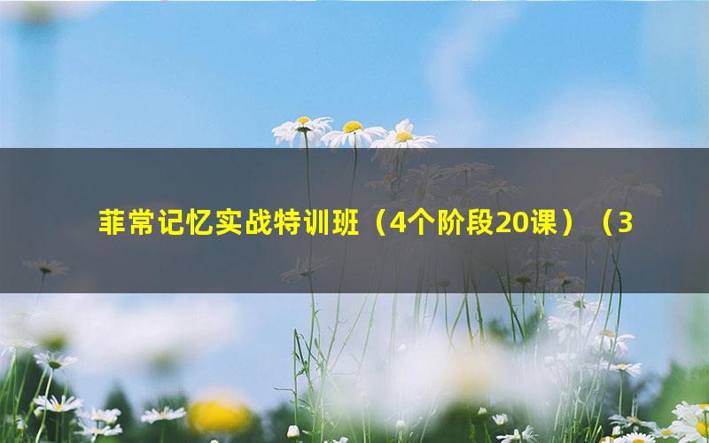 菲常记忆实战特训班(4个阶段20课)(3.37G标清视频)