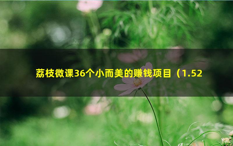 荔枝微课36个小而美的赚钱项目(1.52G超清视频)
