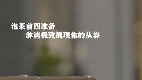荔枝微课中国茶届女神的11堂茶修跟学课，快速提升你的身姿气韵内涵（710M超清视频）