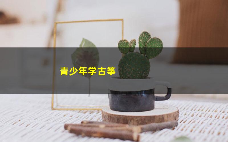 青少年学古筝