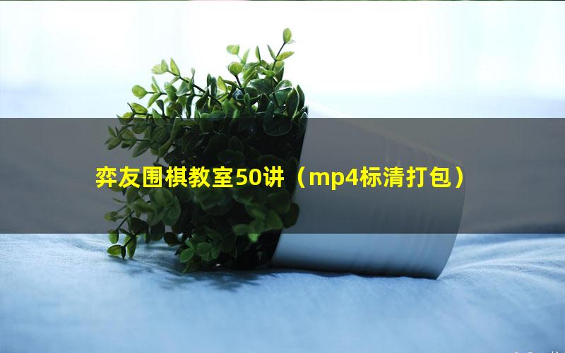 弈友围棋教室50讲(mp4标清打包)