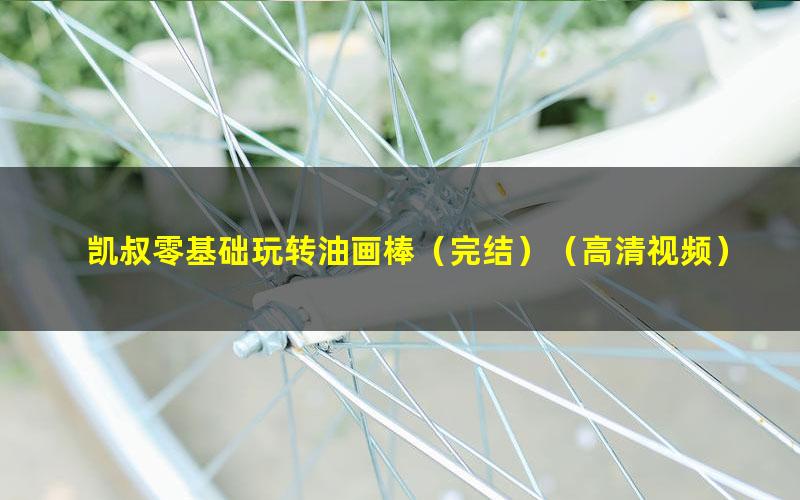 凯叔零基础玩转油画棒(完结)(高清视频)