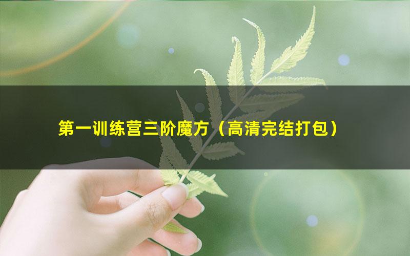第一训练营三阶魔方(高清完结打包)
