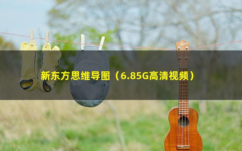 新东方思维导图(6.85G高清视频)
