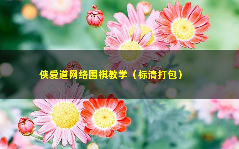 侠爱道网络围棋教学(标清打包)