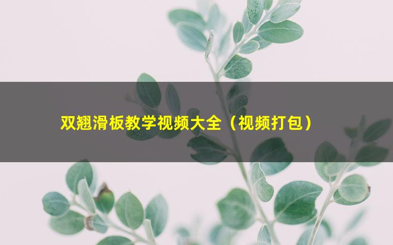双翘滑板教学视频大全(视频打包)