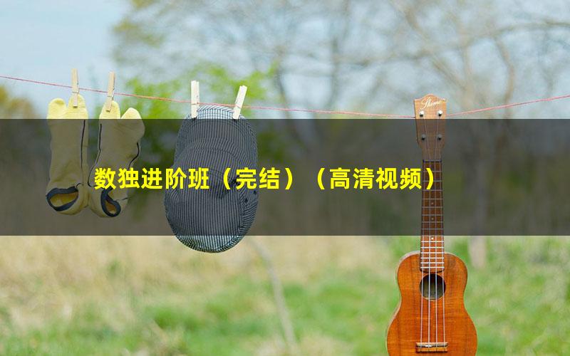 数独进阶班(完结)(高清视频)