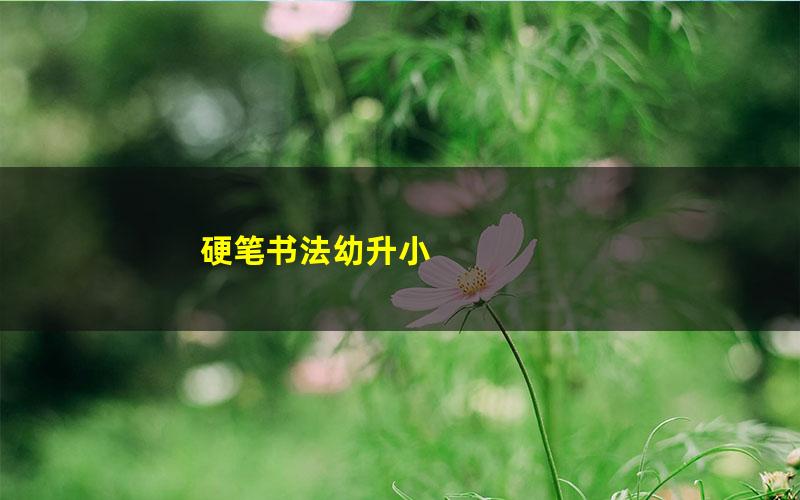 硬笔书法幼升小