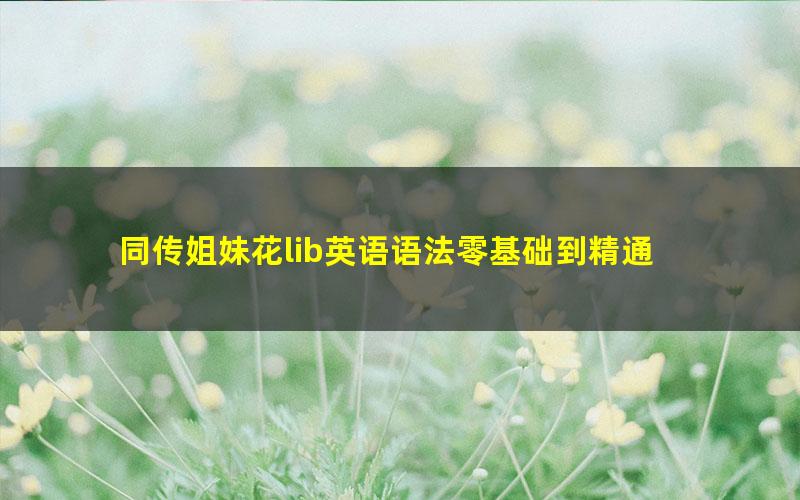 同传姐妹花lib英语语法零基础到精通