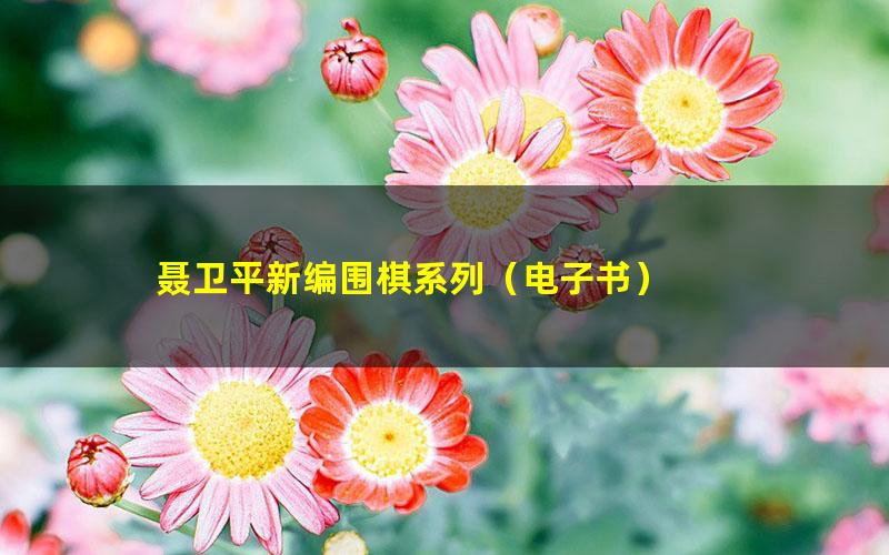 聂卫平新编围棋系列(电子书)