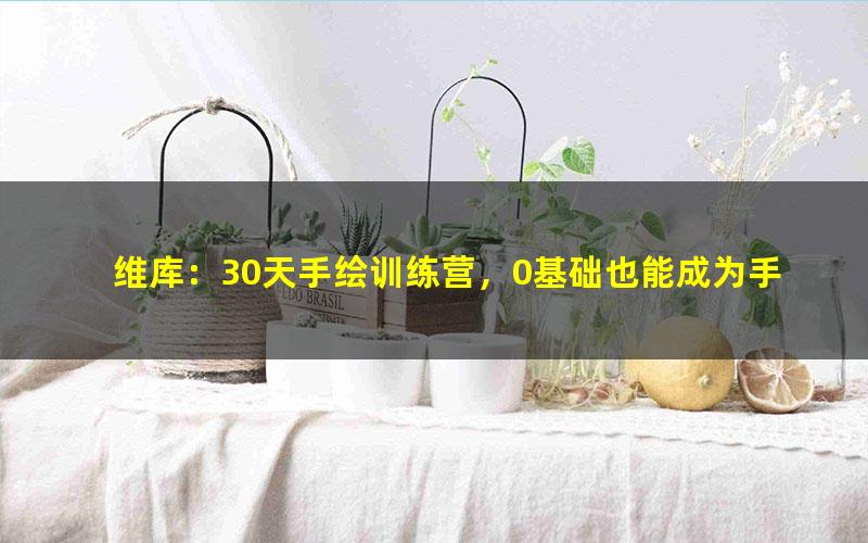 维库:30天手绘训练营,0基础也能成为手绘大神