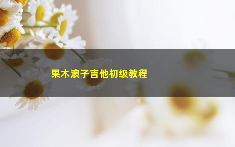 果木浪子吉他初级教程