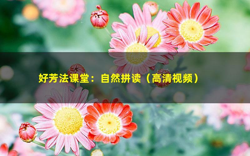 好芳法课堂:自然拼读(高清视频)