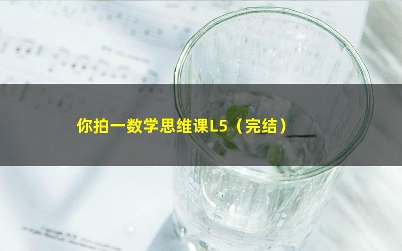 你拍一数学思维课L5(完结)