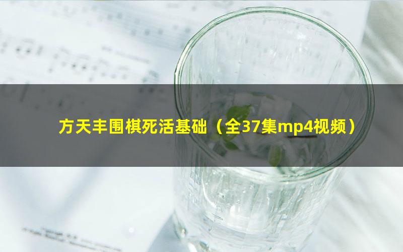 方天丰围棋死活基础(全37集mp4视频)