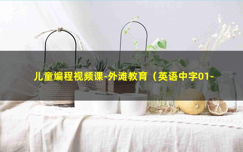 儿童编程视频课-外滩教育(英语中字01-40)