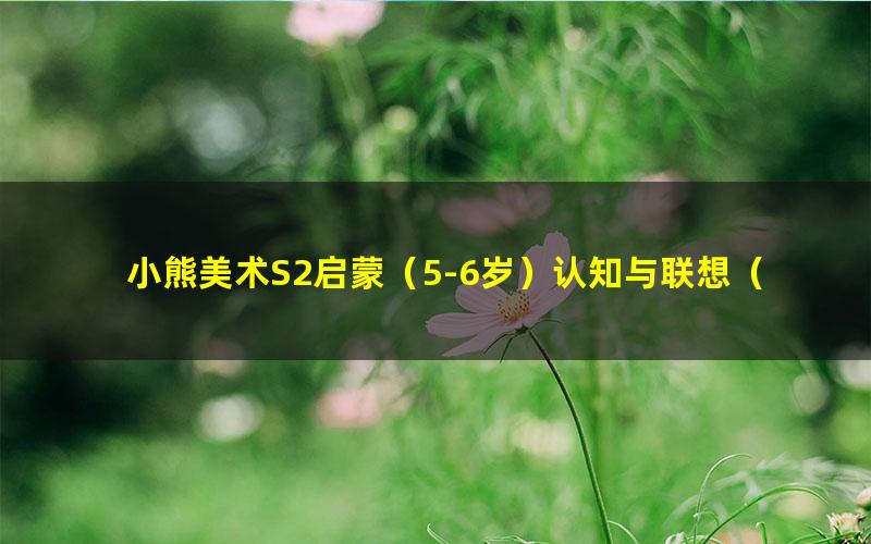 小熊美术S2启蒙(5-6岁)认知与联想(83.3G高清视频)