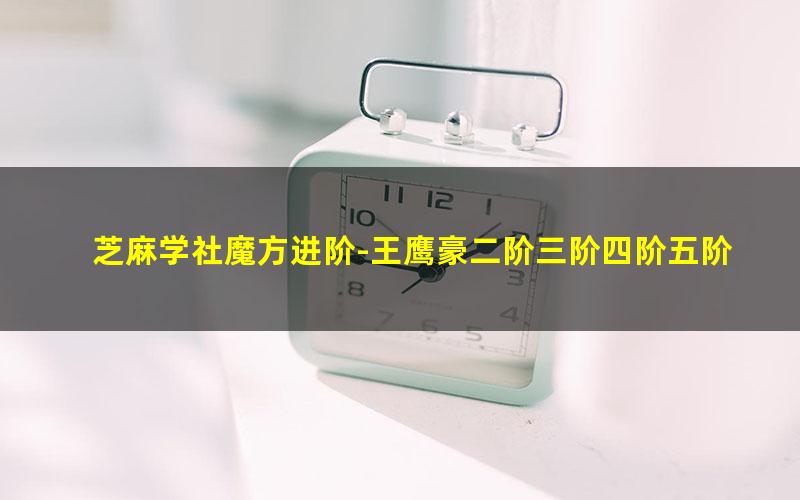 芝麻学社魔方进阶-王鹰豪二阶三阶四阶五阶(高清完结打包)