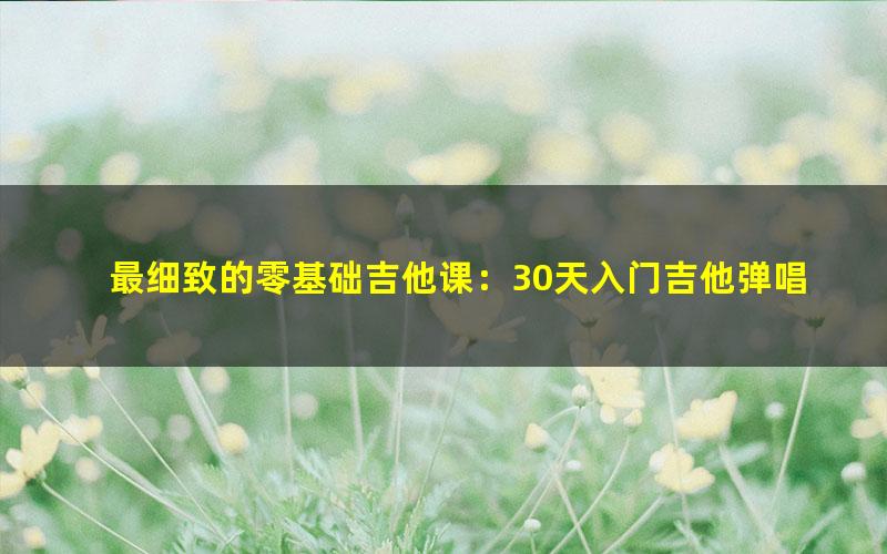 最细致的零基础吉他课:30天入门吉他弹唱(2.88G高清视频)