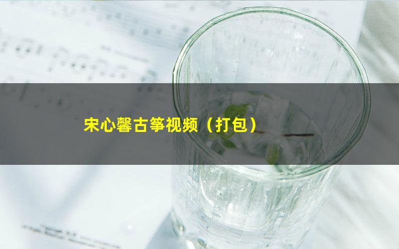 宋心馨古筝视频(打包)