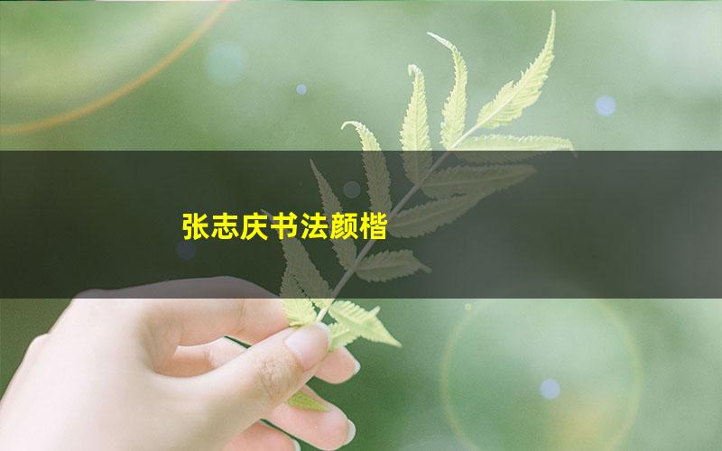 张志庆书法颜楷