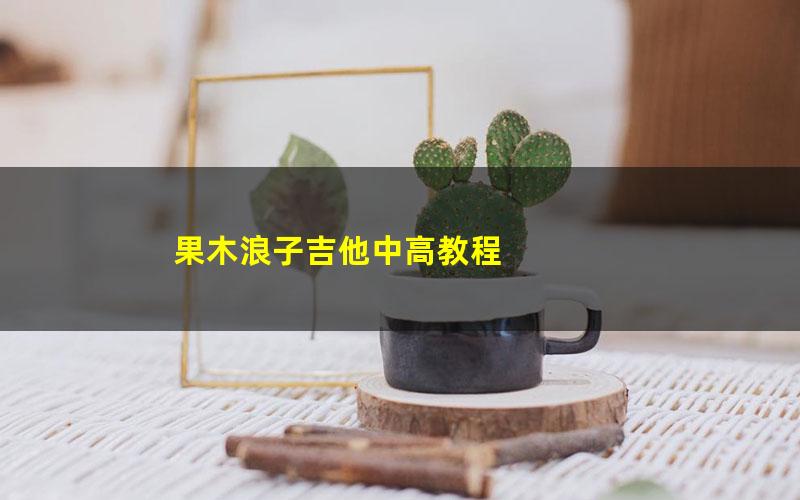 果木浪子吉他中高教程