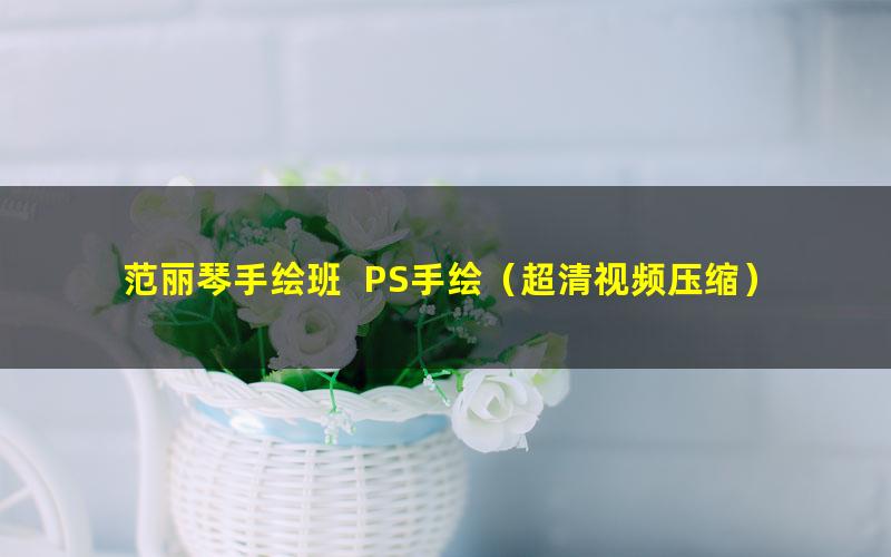 范丽琴手绘班 PS手绘(超清视频压缩)