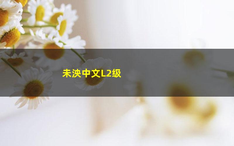 未泱中文L2级