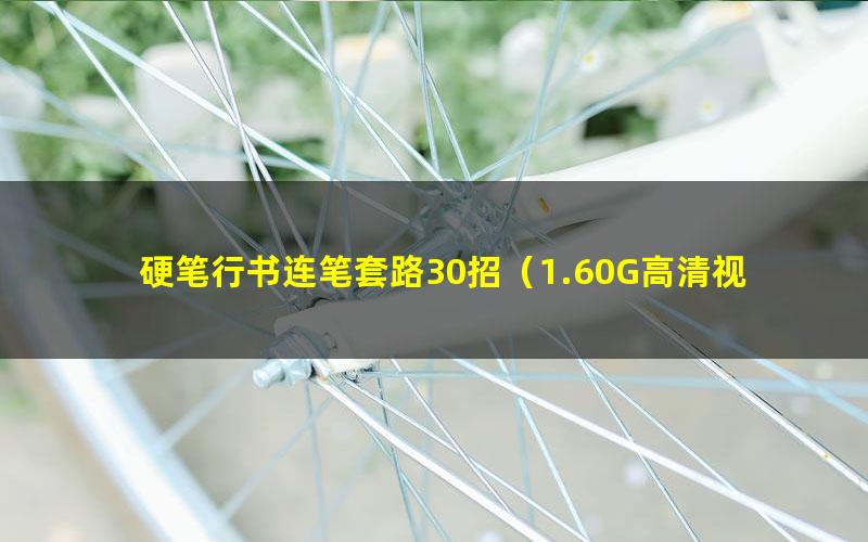 硬笔行书连笔套路30招(1.60G高清视频)