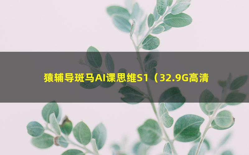 猿辅导斑马AI课思维S1(32.9G高清视频)