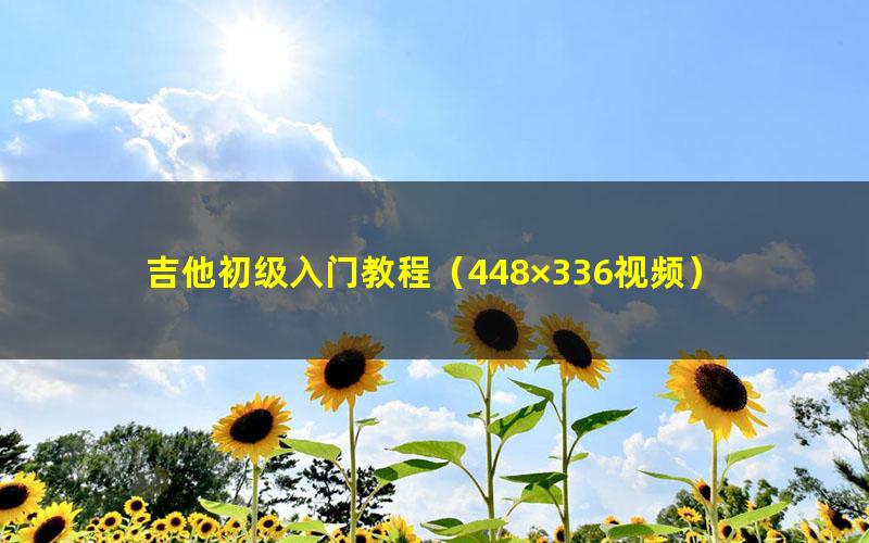吉他初级入门教程(448×336视频)