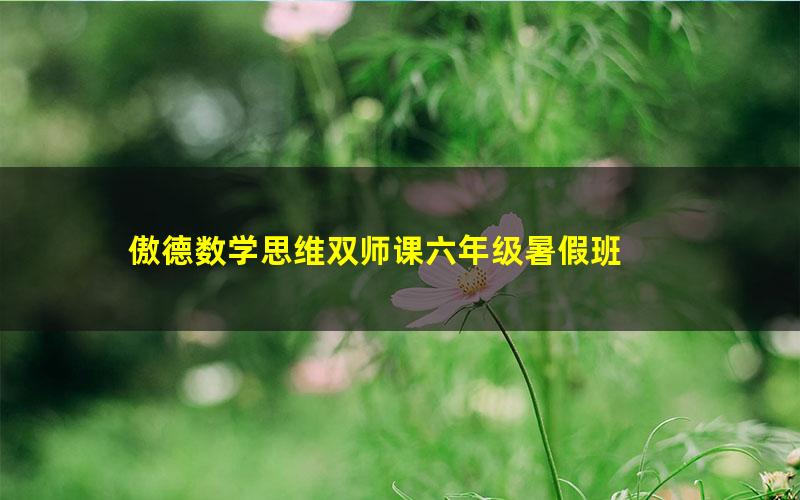 傲德数学思维双师课六年级暑假班