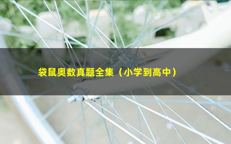 袋鼠奥数真题全集(小学到高中)