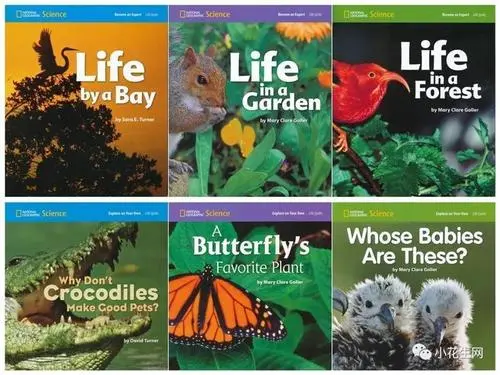 National Geographic Little Kids 2021年1-8月刊美国国家地理幼儿版杂志(37.9M 3-6岁PDF)