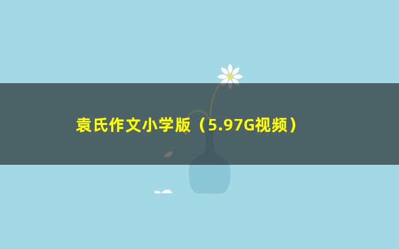 袁氏作文小学版(5.97G视频)