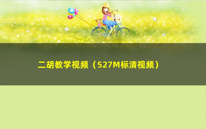 二胡教学视频(527M标清视频)