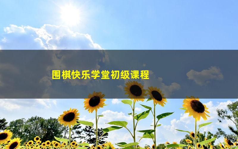围棋快乐学堂初级课程