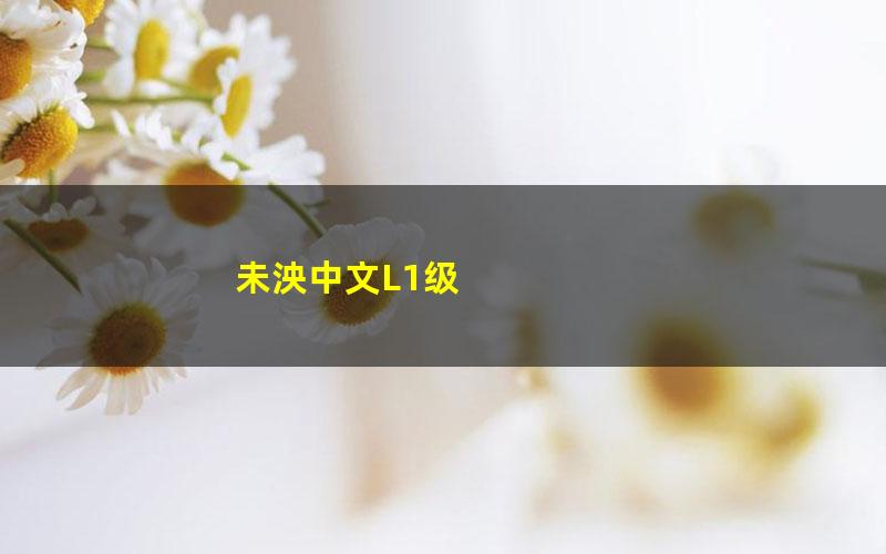 未泱中文L1级