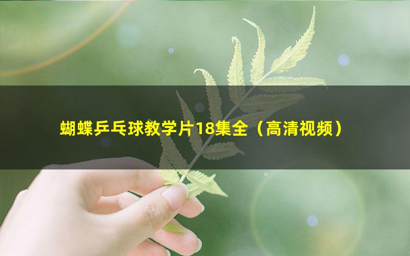 蝴蝶乒乓球教学片18集全(高清视频)
