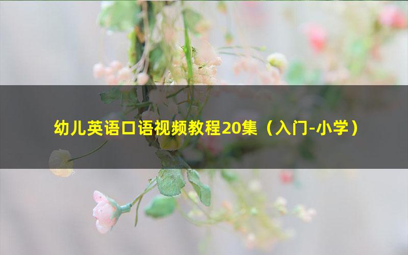 幼儿英语口语视频教程20集(入门-小学)(162MB标清视频)