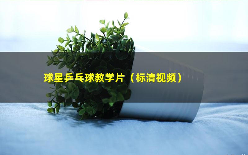 球星乒乓球教学片(标清视频)