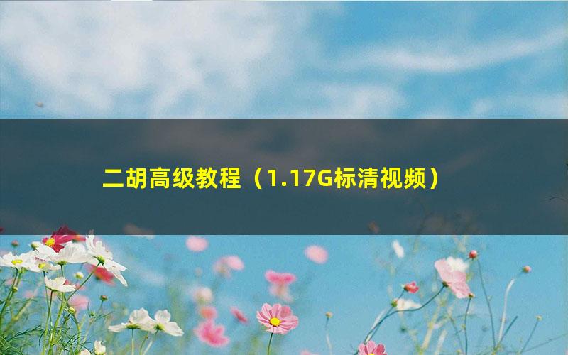 二胡高级教程(1.17G标清视频)