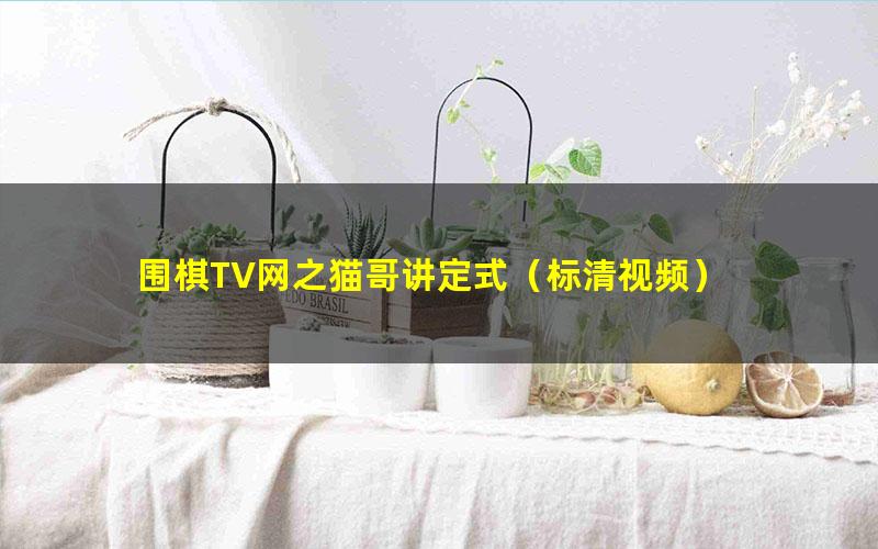 围棋TV网之猫哥讲定式(标清视频)