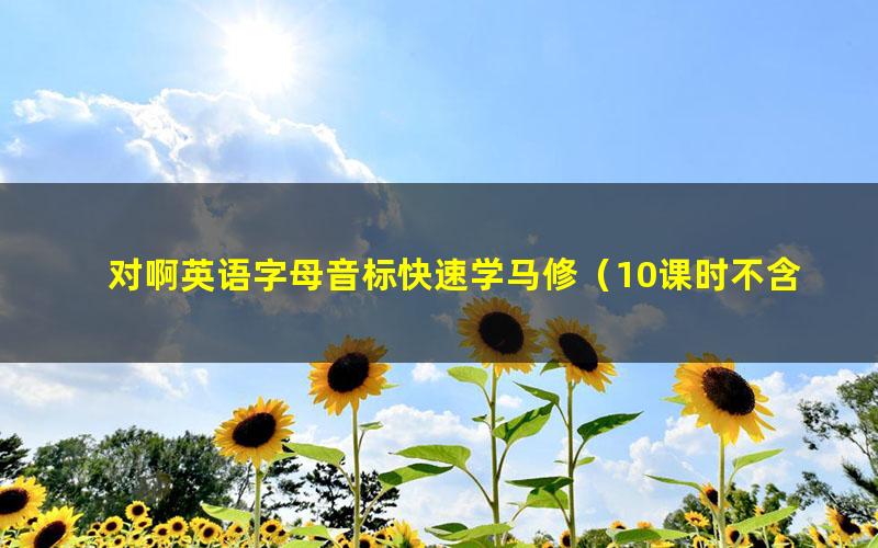 对啊英语字母音标快速学马修(10课时不含讲义)