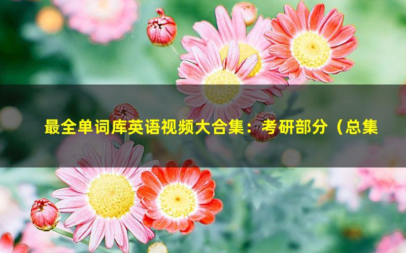 最全单词库英语视频大合集:考研部分(总集篇)(24.7G高清视频)